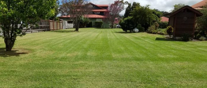 waimea lawn cuts